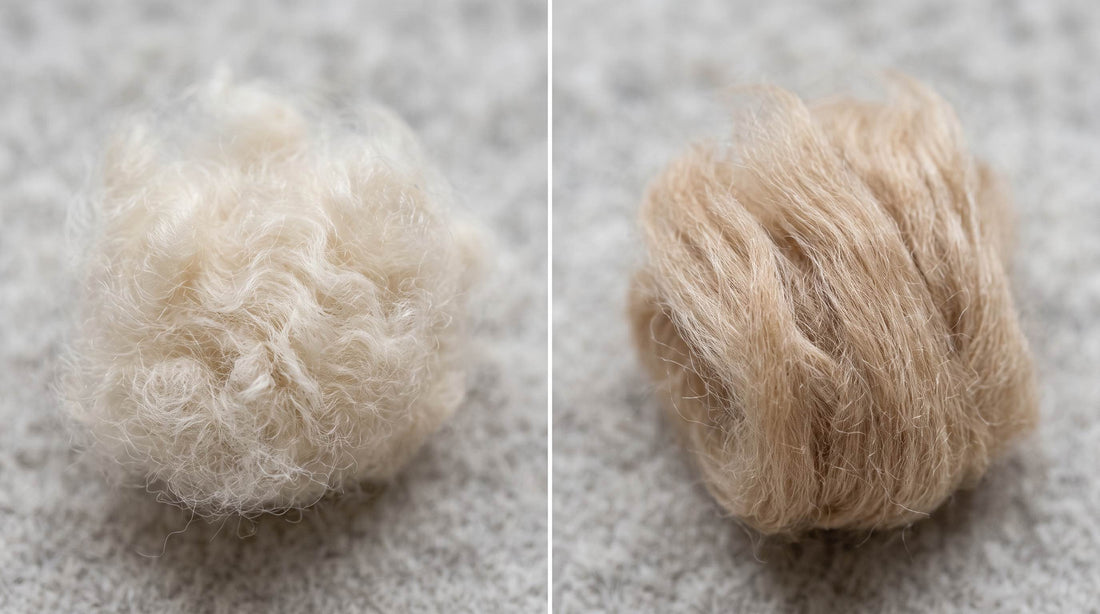 Cashmere fiber beside alpaca fiber, showing the texture difference between the two.