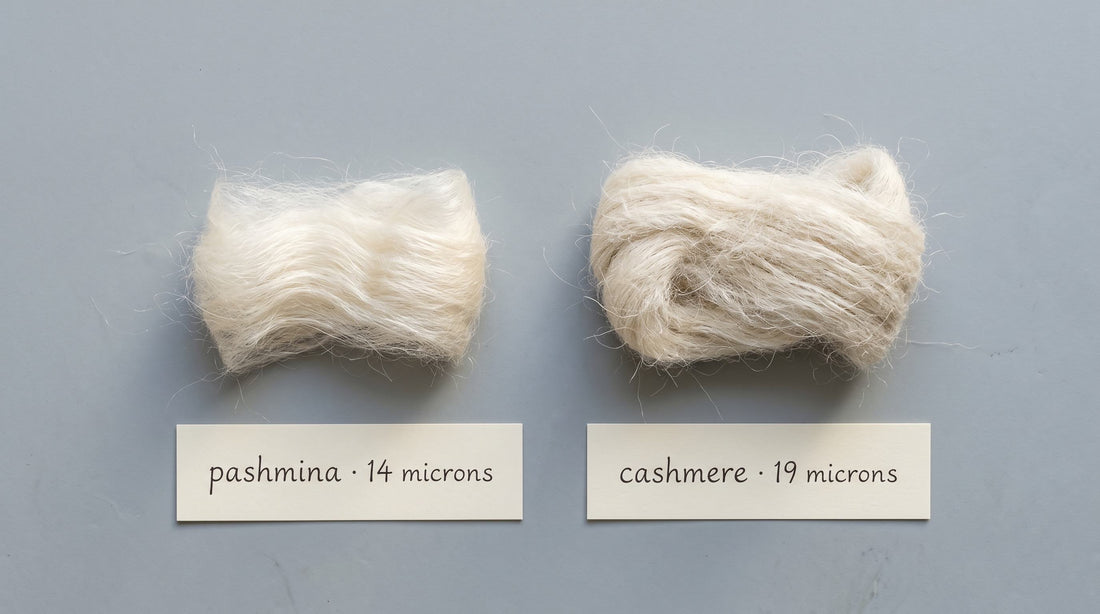 Two raw fiber bundles on pale grey slate — the left bundle labelled 'pashmina · 14 microns' is visibly finer than the right bundle labelled 'cashmere · 19 microns', demonstrating the difference in fiber diameter.