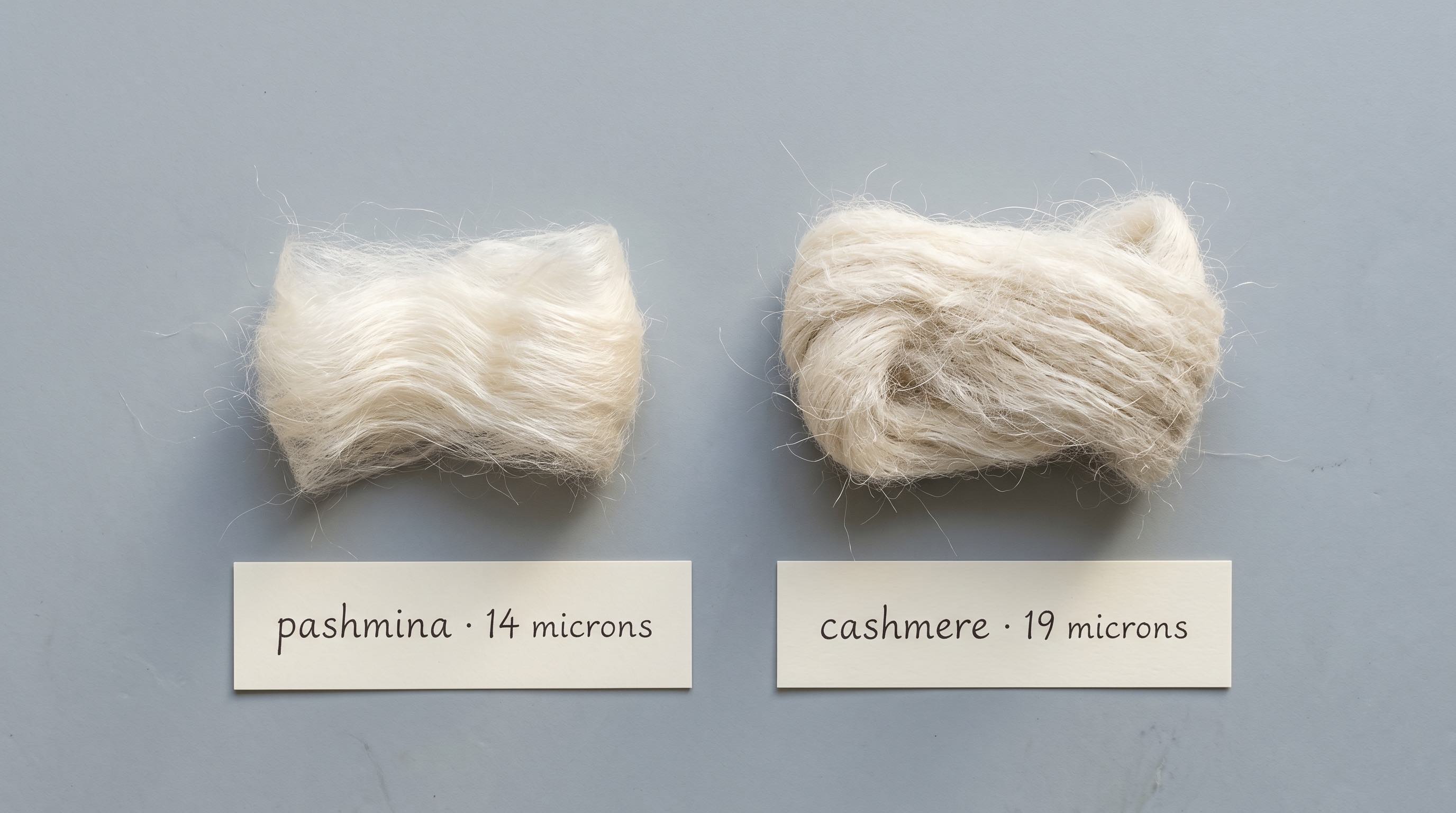 Two raw fiber bundles on pale grey slate — the left bundle labelled 'pashmina · 14 microns' is visibly finer than the right bundle labelled 'cashmere · 19 microns', demonstrating the difference in fiber diameter.